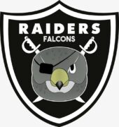 falcons